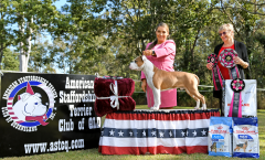 Dog Challenge & Puppy In Show - Newbelle Lets Get Wild